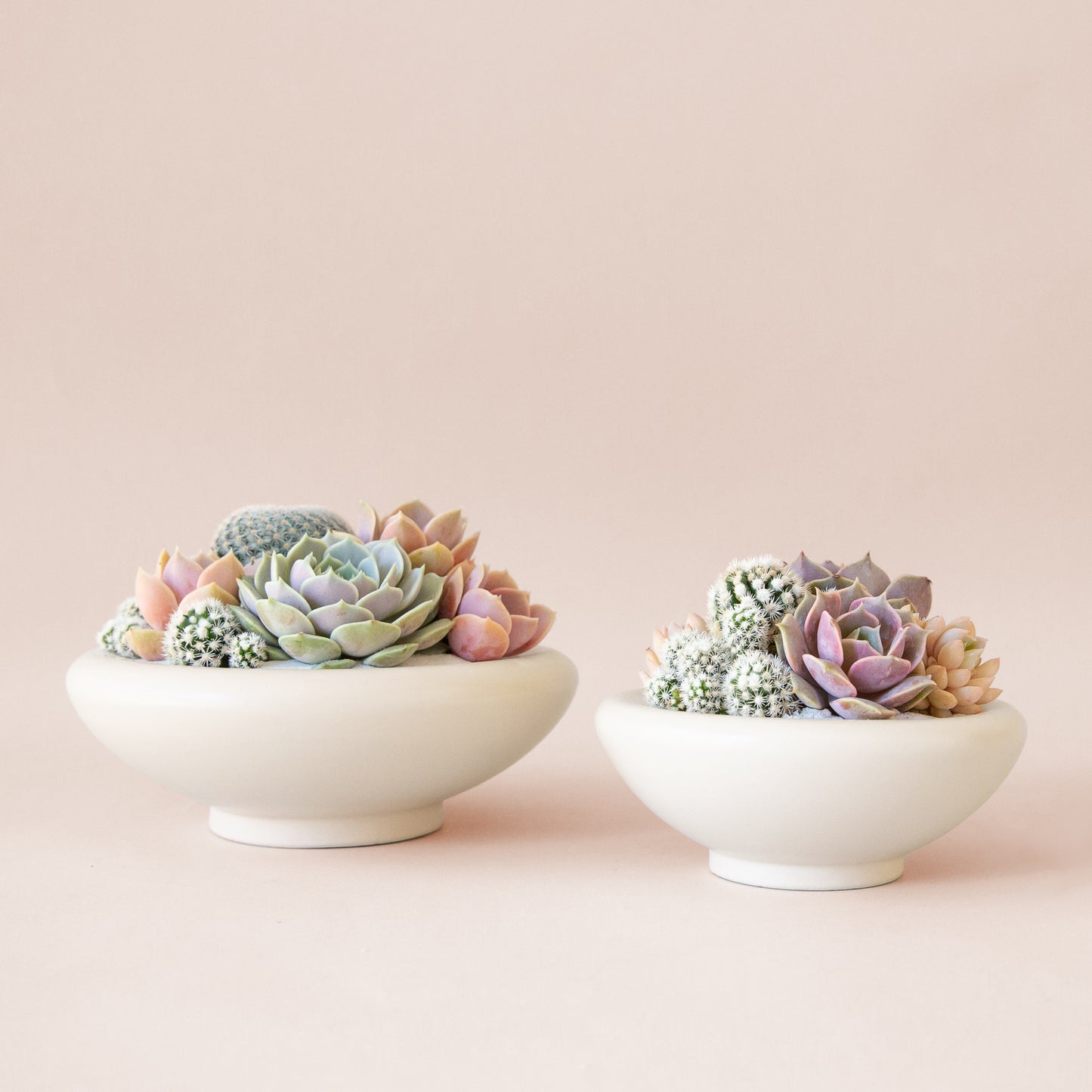 white footed low bowl
