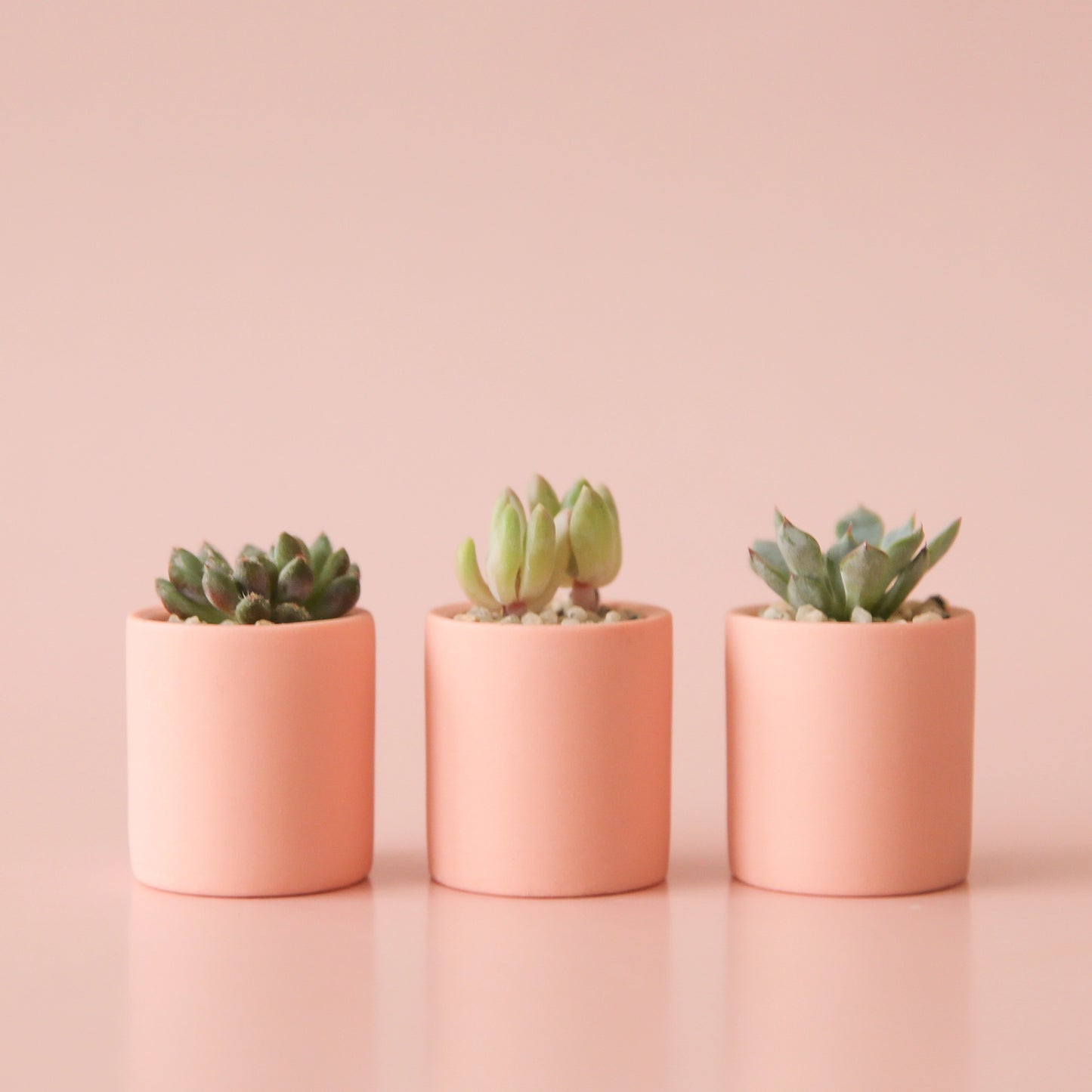 Tiny Planter | Peach