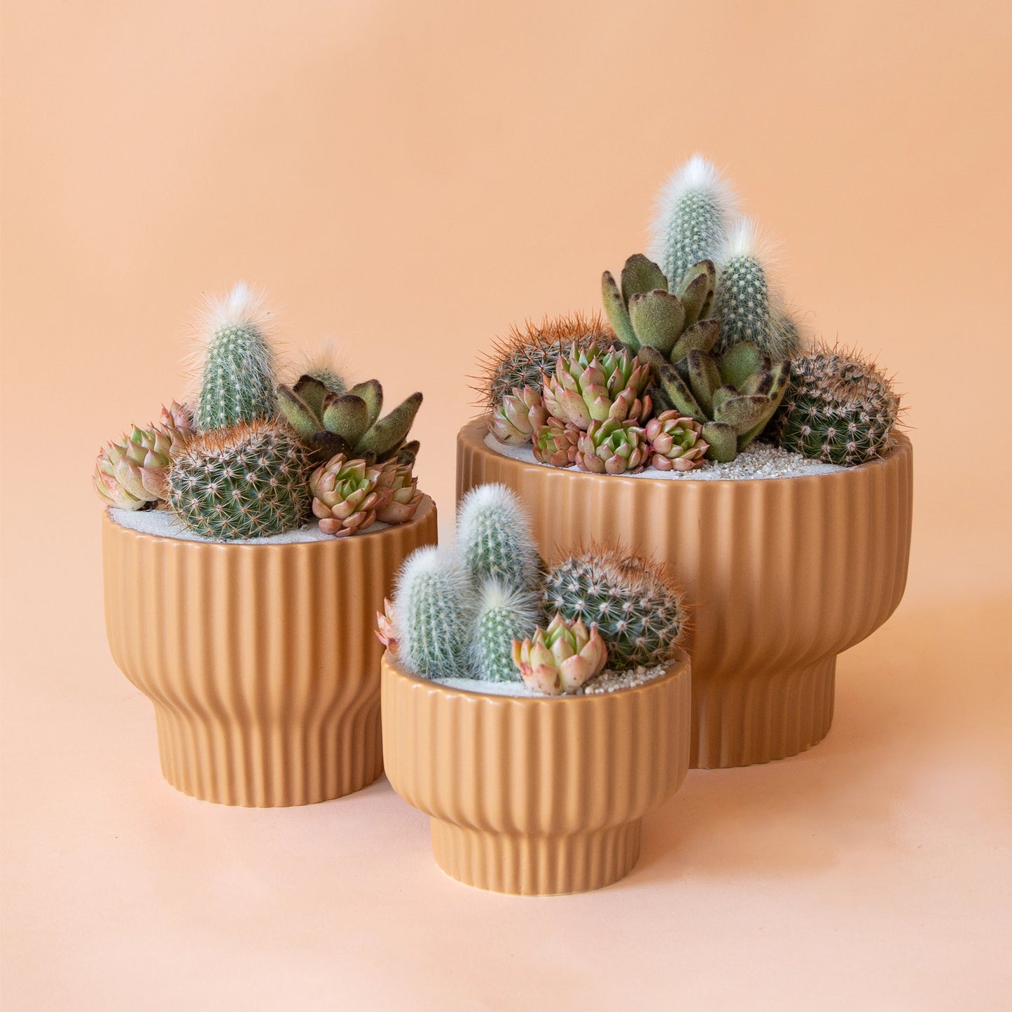Presley Pedestal Planter | Ginger