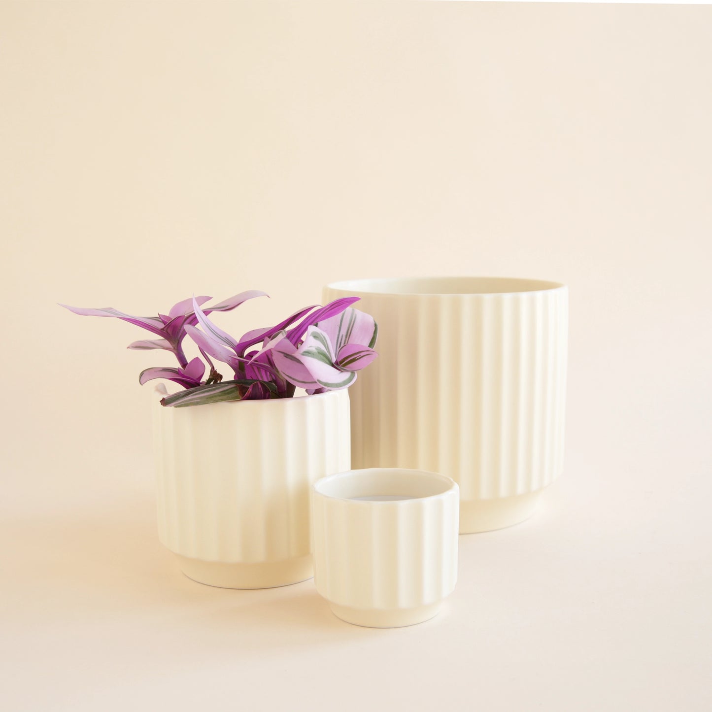 On an ivory background is three different sized vintage white ceramic planters with a thick fluting detail and a tapered base.