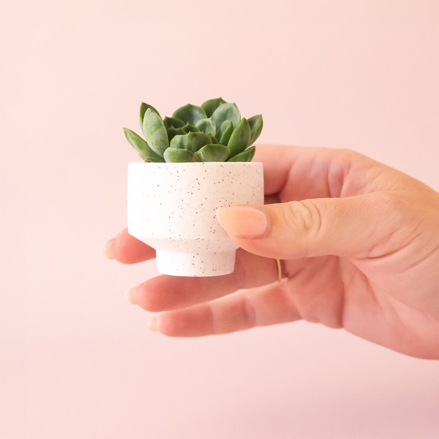 A speckled footed ceramic planter in a neutral shade.