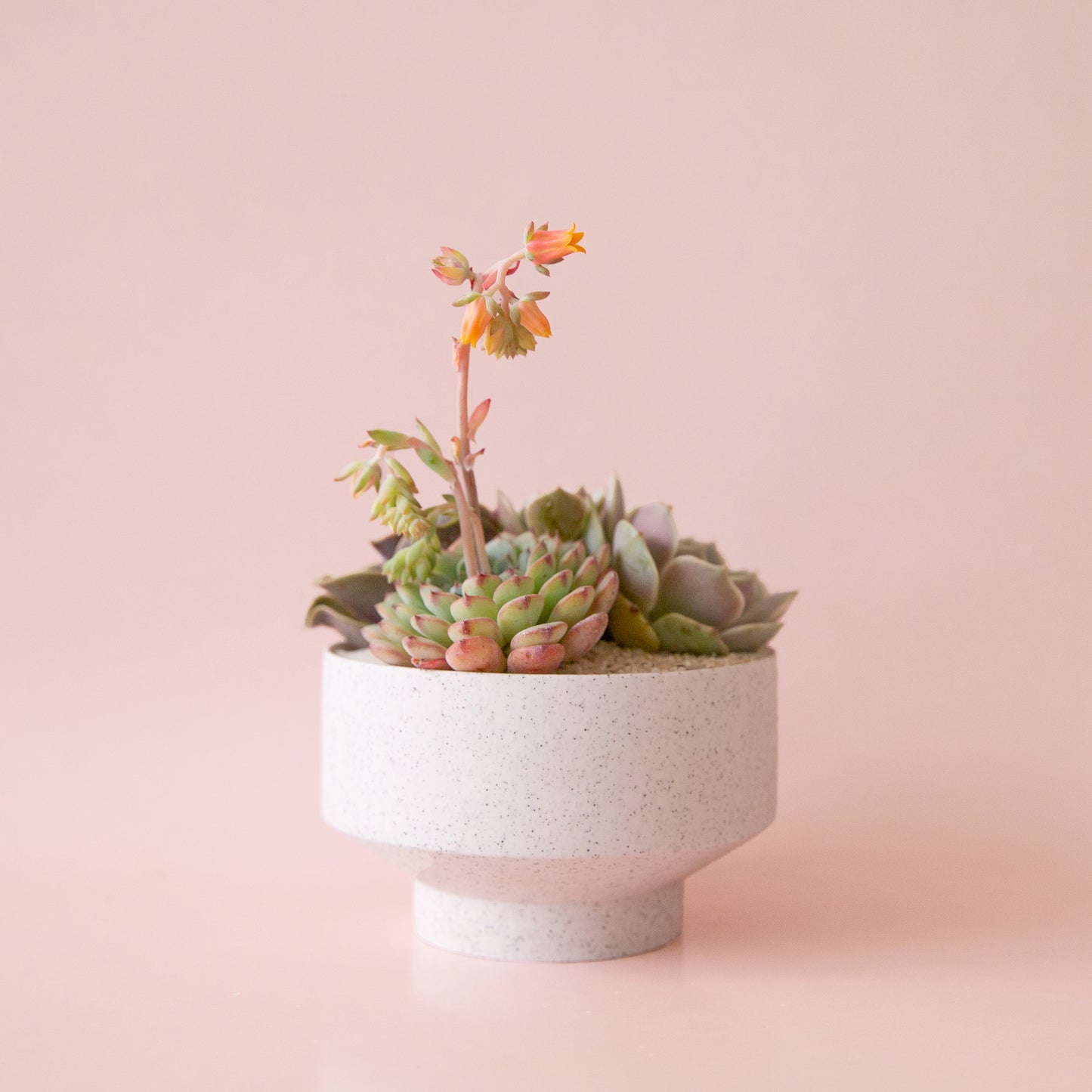 Speckle Footed Planter | Large
