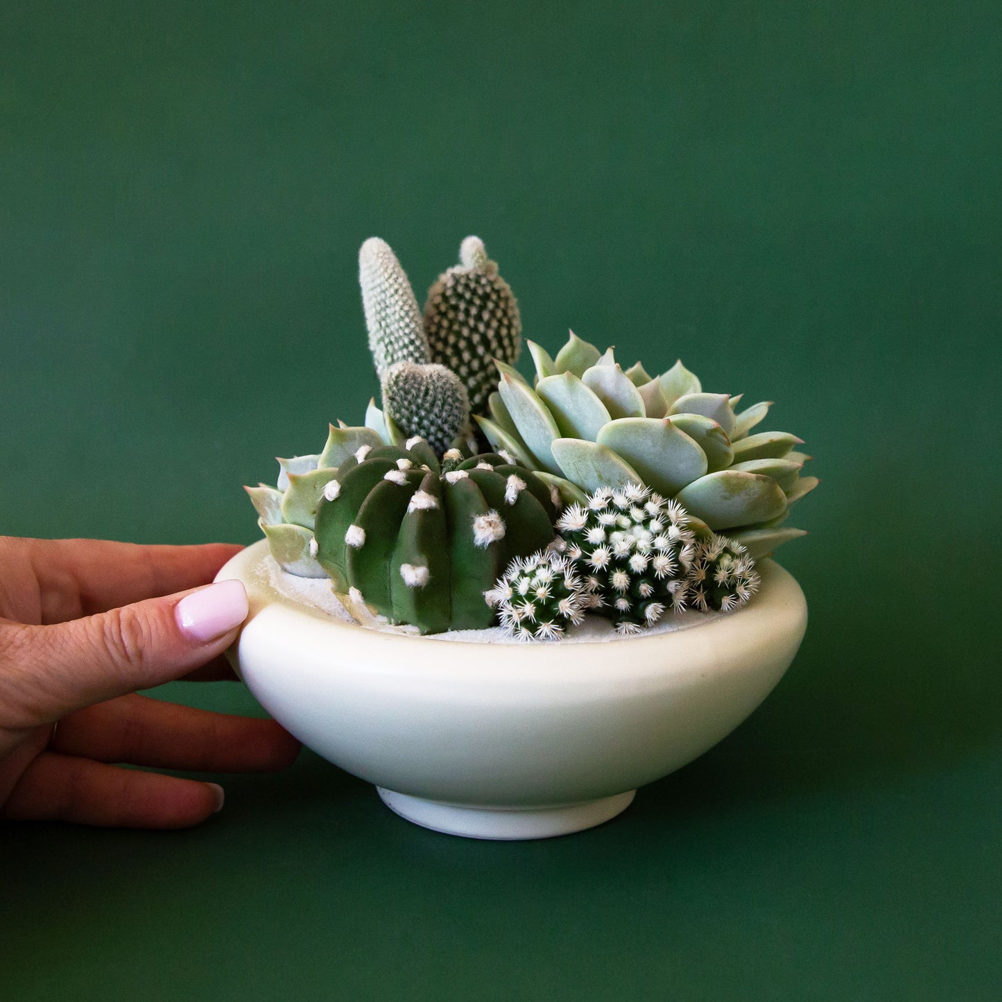 A rounded low pedestal bow in a vintage ivory shade. Plantings are just used for staging purposes and are sold separately.