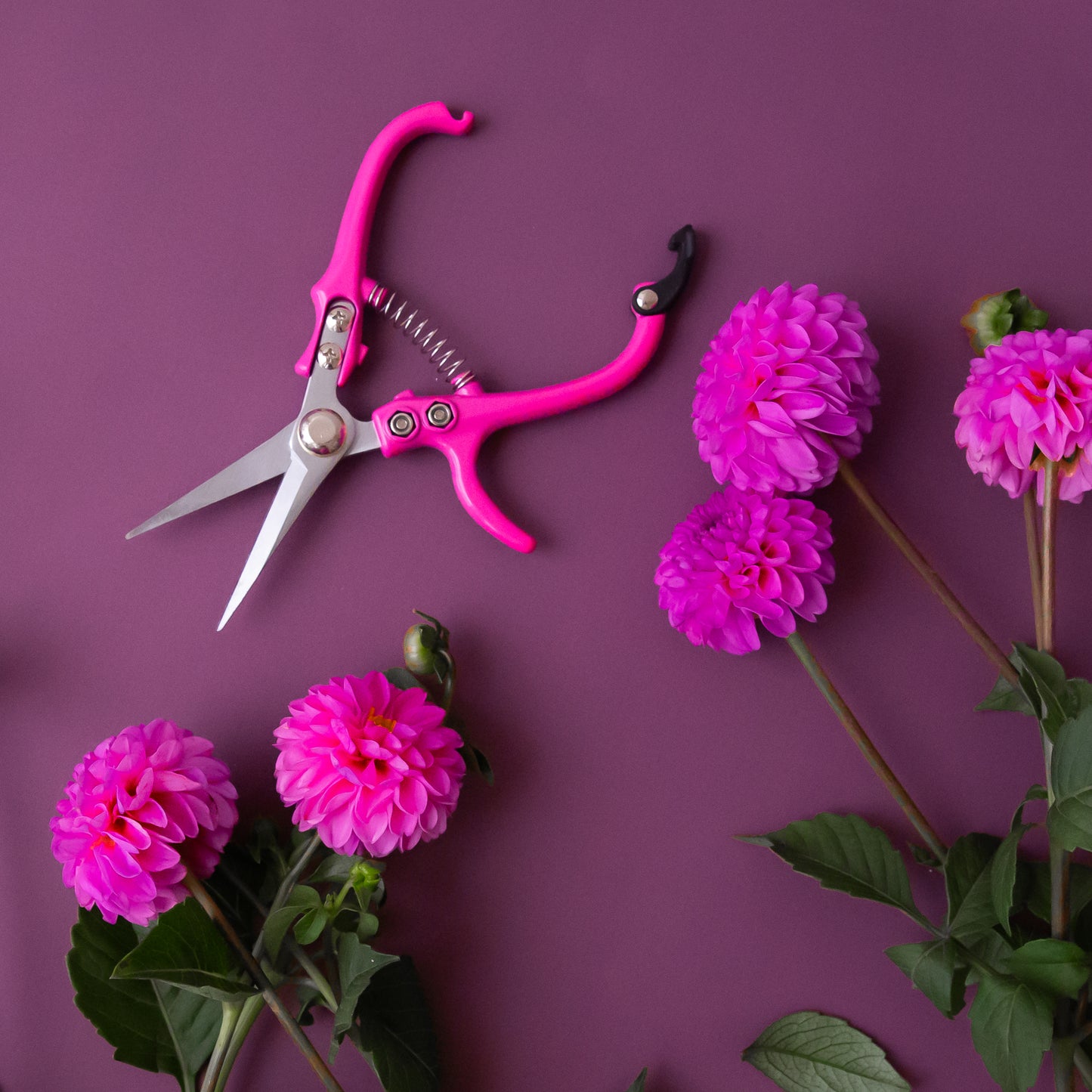 Bright pink pruning shears shown against a purple background, surrounded by flowers.