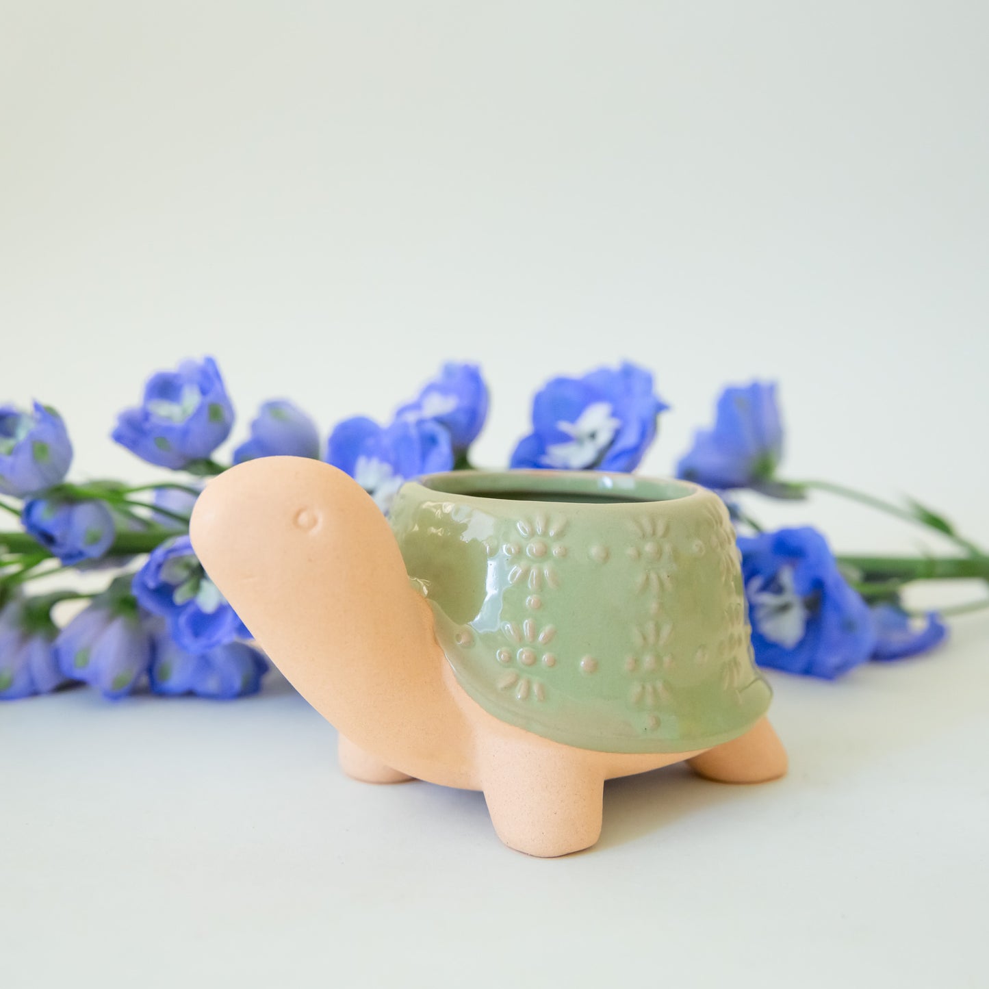 A green turtle shaped ceramic planters with plants inside that are sold separately.