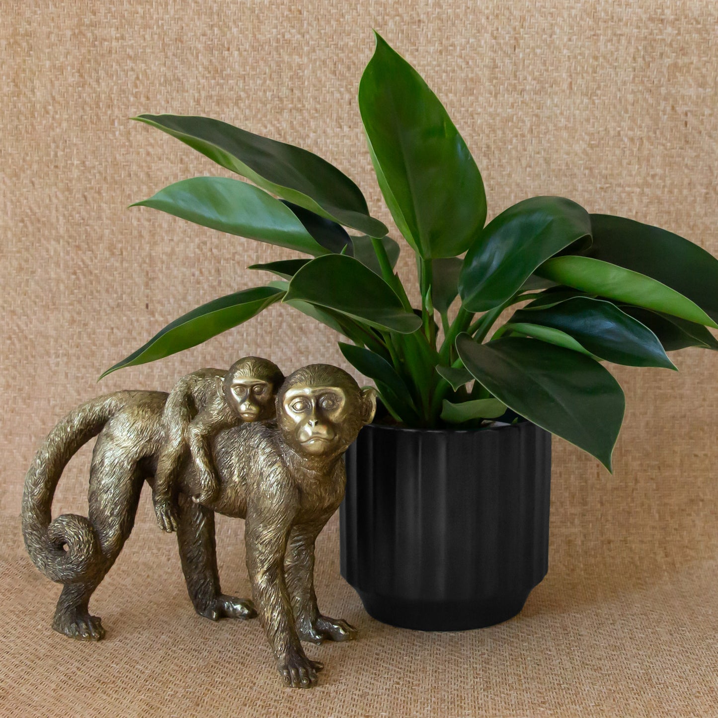 A black ceramic planter with a fluted texture.