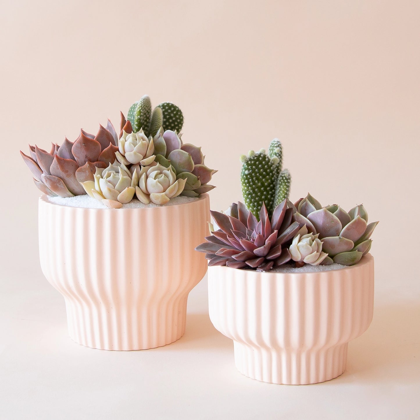 Presley Pedestal Planter | Ballerina