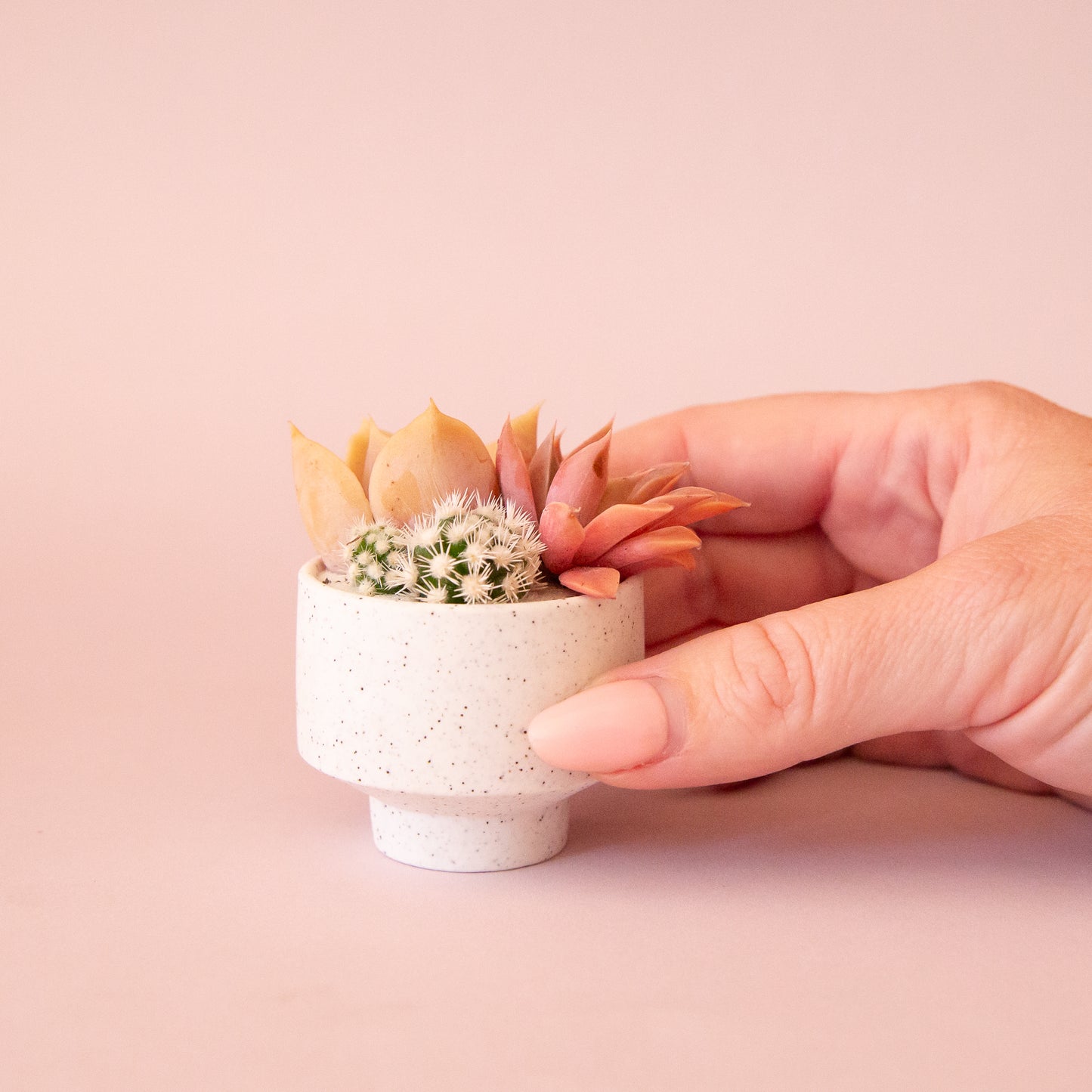 A speckled footed ceramic planter in a neutral shade.