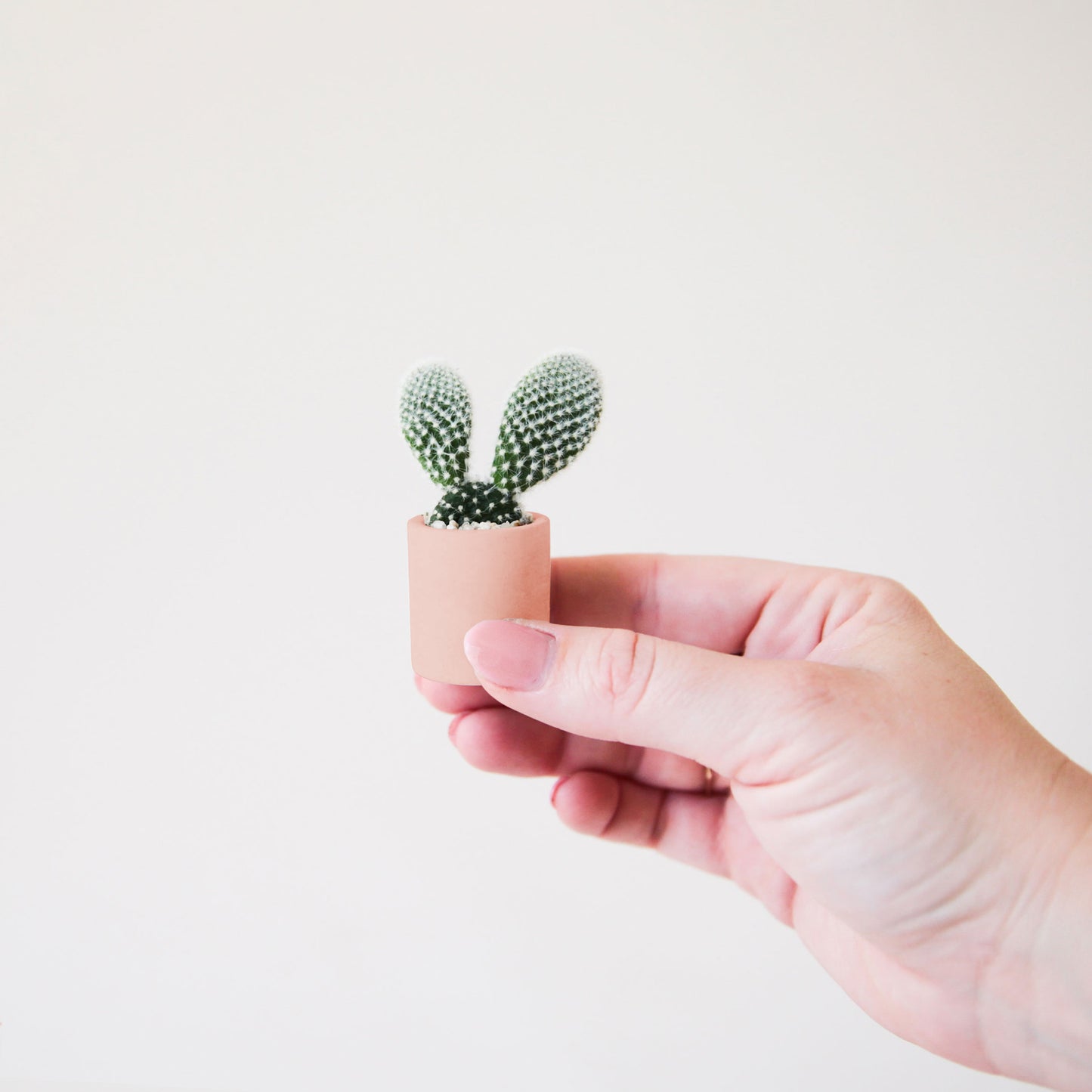 Tiny Planter | Peach