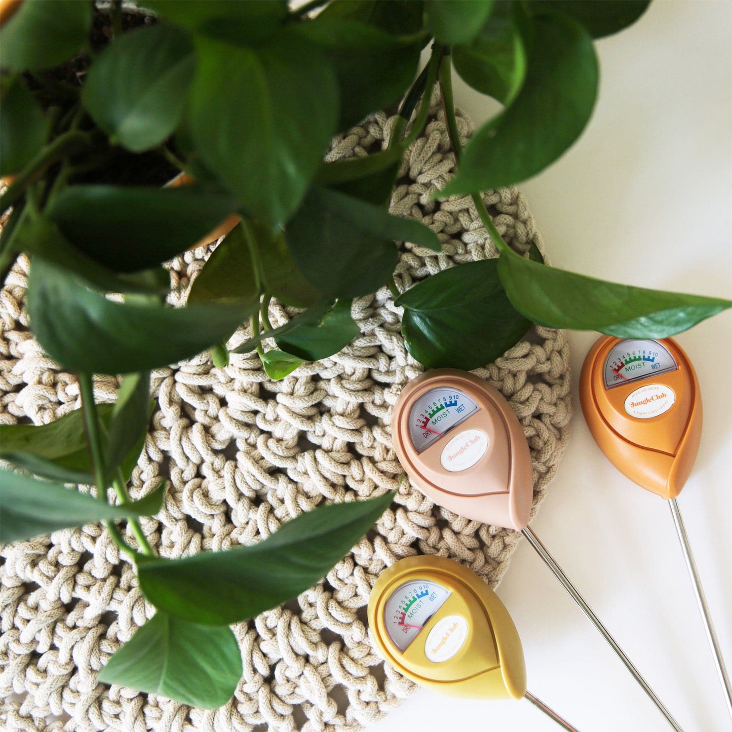 On a cream background staged with a woven place mat and a green pothos house plant is three different colored moisture meters, one pink, one orange and one tropical green. They feature a long pointed metal bottom that sticks into the plant's soil and a meter at the top with a moisture gauge and a white oval in the center that reads, "Jungle Club".