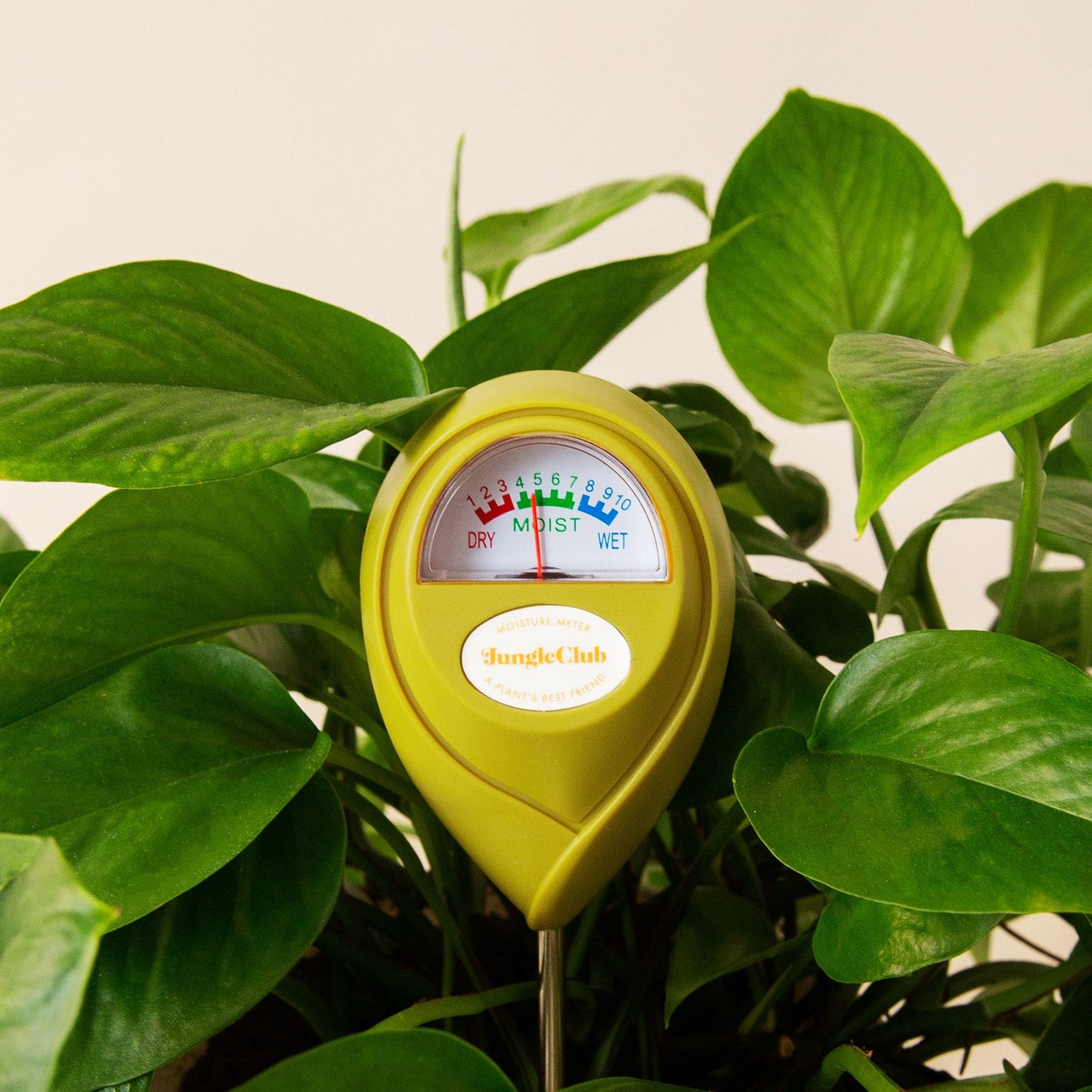 A chartreuse moisture meter with a rounded head and a white meter that ranges from dry, moist, or wet along with a small oval label in the front that reads, "Jungle Club".