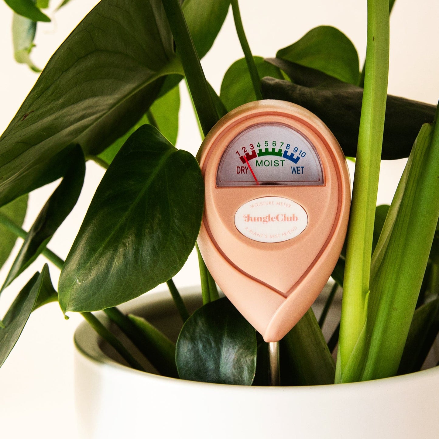 A pink moisture meter with a rounded head and a white meter that ranges from dry, moist, or wet along with a small oval label in the front that reads, "Jungle Club".
