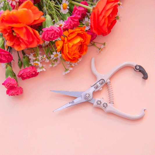A pair of pruning shears with a cream colored handle. 
