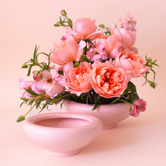 A light pink ceramic low bowl planter with a rounded edge. 