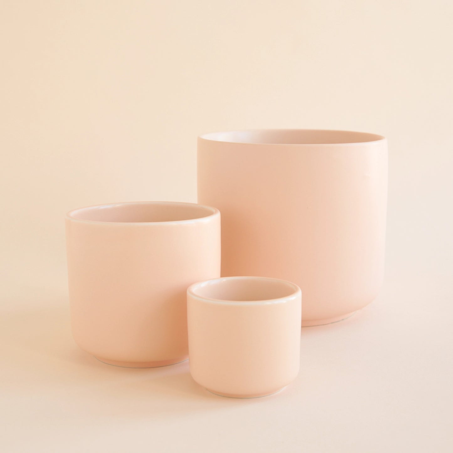 Charlie Planter | Ballerina