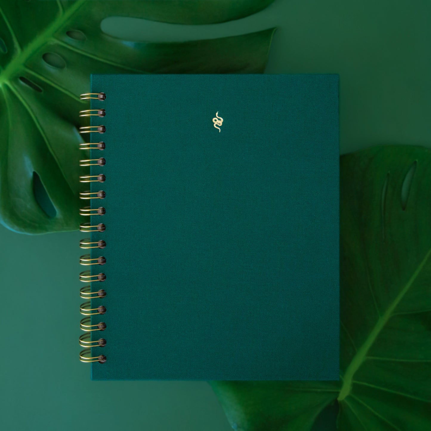 A teal colored journal with a snake motif in gold sits on a green background.