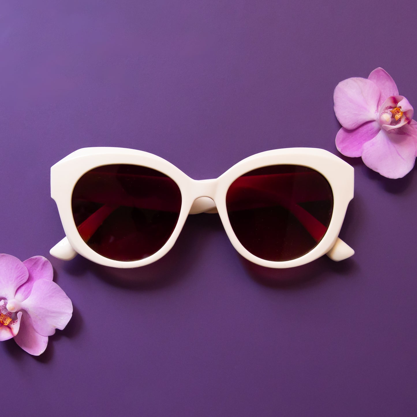 A white and brown lens pair of rounded sunglasses. 