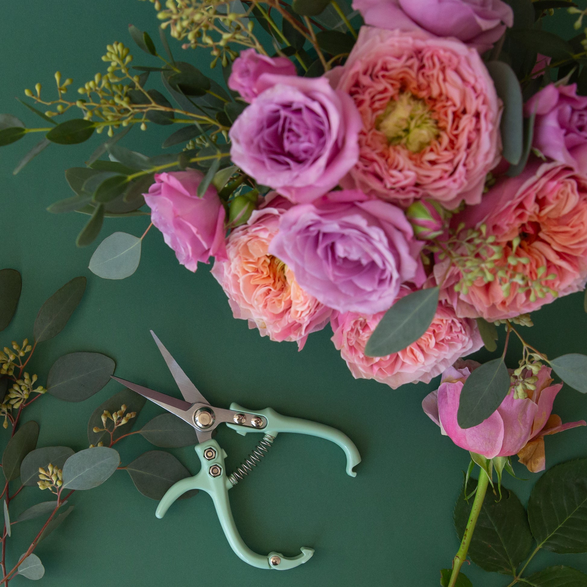 A pair of minty blue planting shears on a green ground with purple and pink roses.