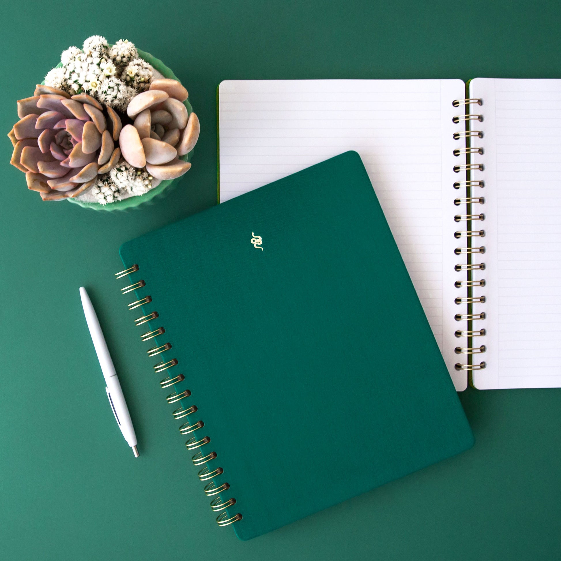 A teal colored journal with a snake motif in gold sits on a green background.