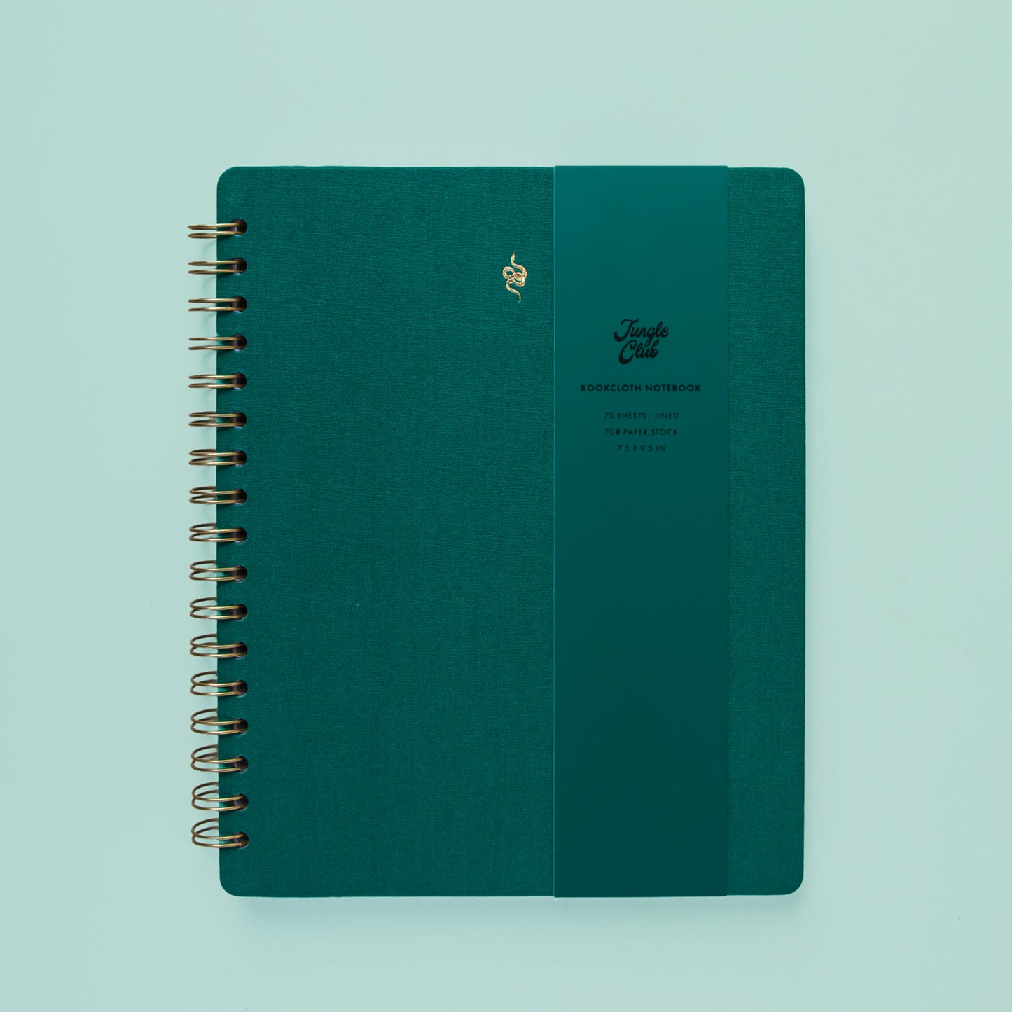 A teal colored journal with a snake motif in gold sits on a green background.