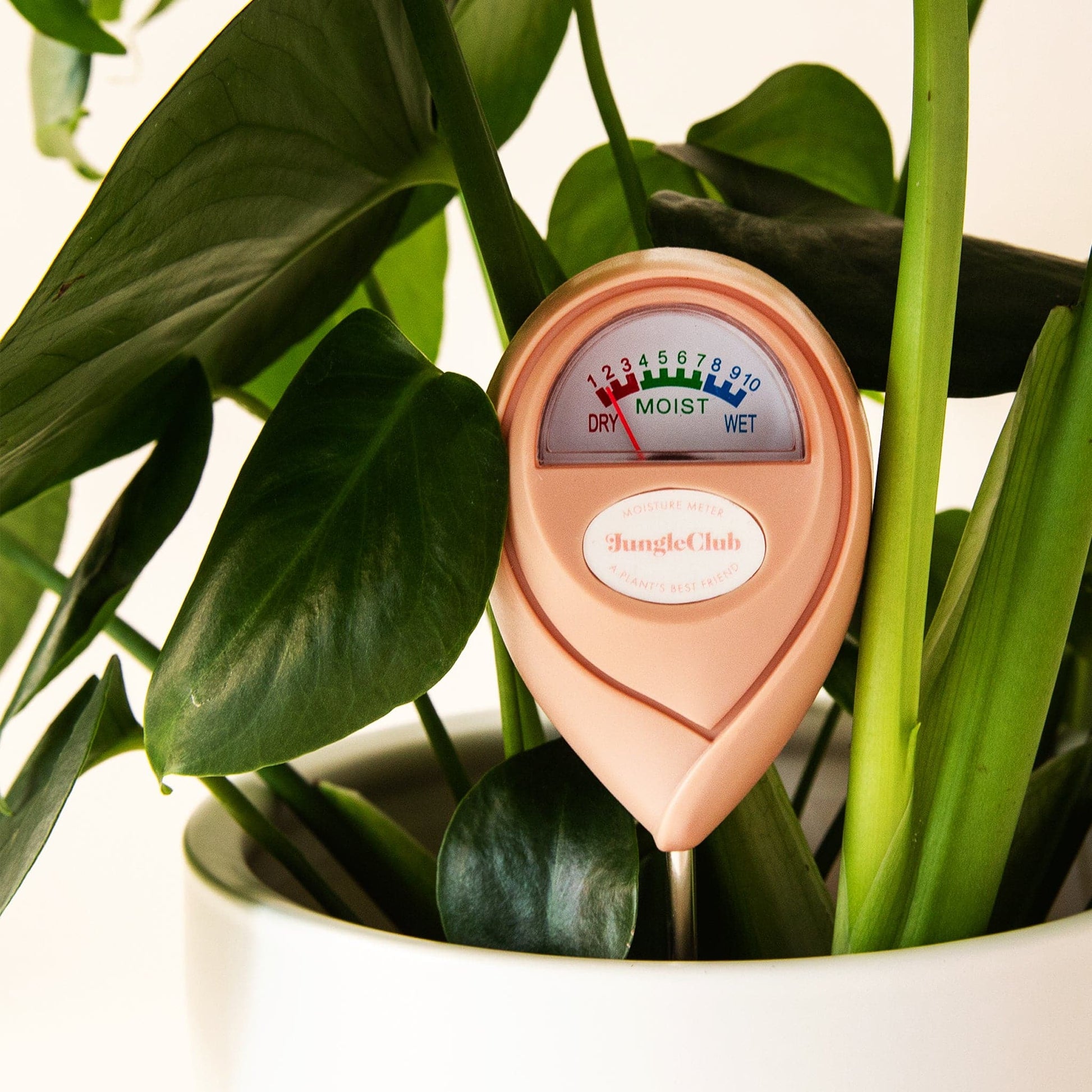 A pink moisture meter with a rounded head and a white meter that ranges from dry, moist, or wet along with a small oval label in the front that reads, "Jungle Club".