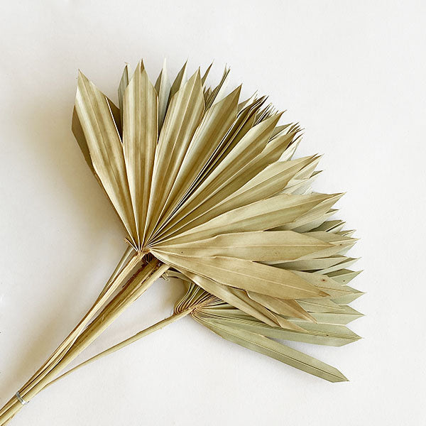 On a white background is a bundle of dried palm leaves.